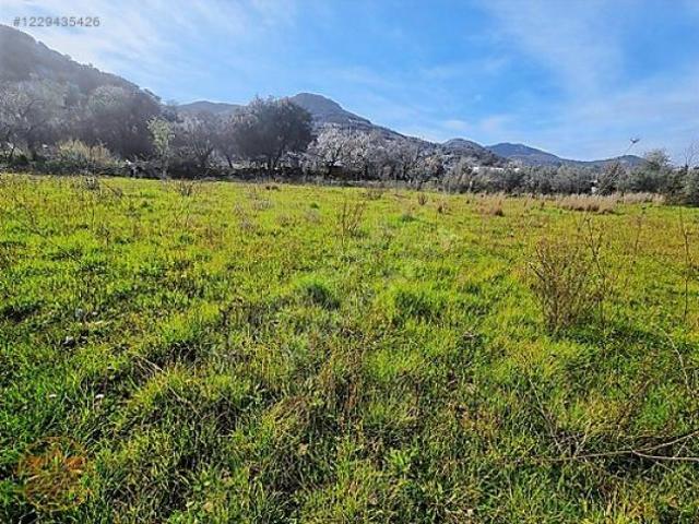 Terreno in vendita a Casalvieri, Lazio