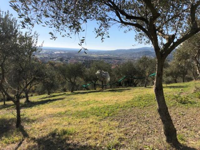 Terreno in vendita a Castelnuovo Cilento, Campania