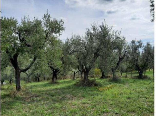 Terreno in vendita a Roma Capitale, Lazio