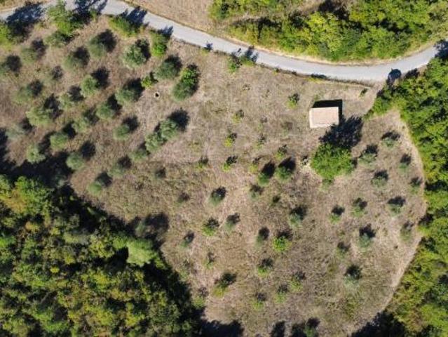 Terreno in vendita a Cicerale, Salerno