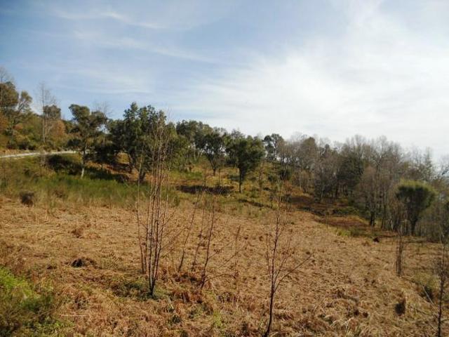Terreno in vendita a Calabria, Catanzaro