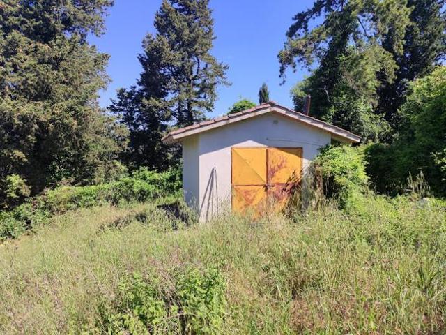 Terreno in vendita a Cenerente, Umbria