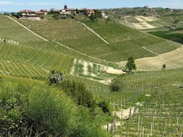 Terreno in vendita a Piemonte, Cuneo