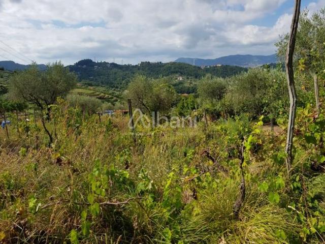 Terreno in vendita a Arcola, Liguria