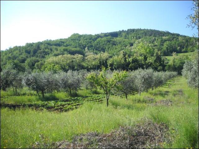 Terreno in vendita a Marche, Ascoli Piceno