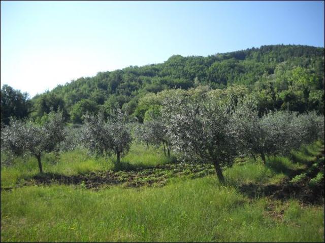 Terreno in vendita a Marche, Ascoli Piceno