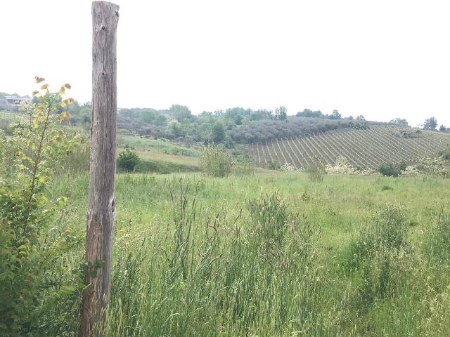 Terreno in vendita a Foglianise, Campania