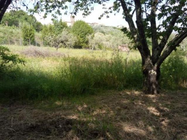 Terreno in vendita a Buggiano, Toscana