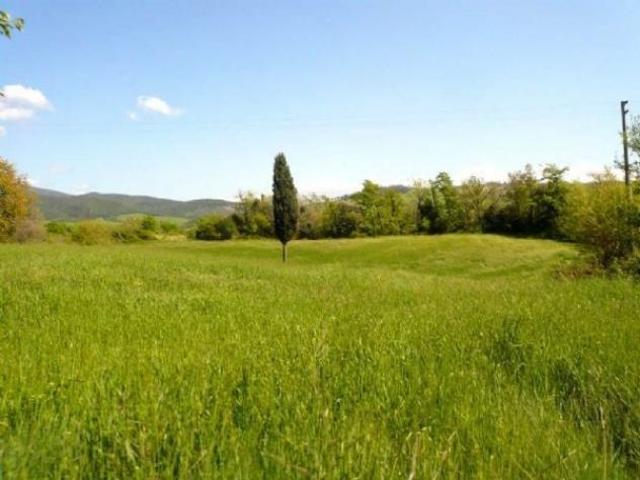 Terreno in vendita a Castellina Marittima, Toscana