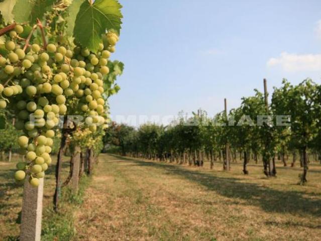 Terreno in vendita a Castenedolo, Lombardia