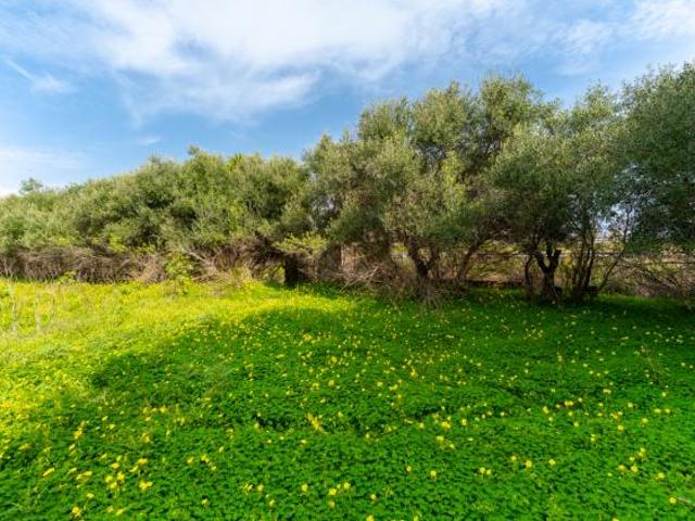 Terreno in vendita a Catania, Sicilia