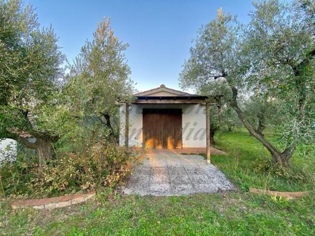 Terreno in vendita a Cecina, Toscana