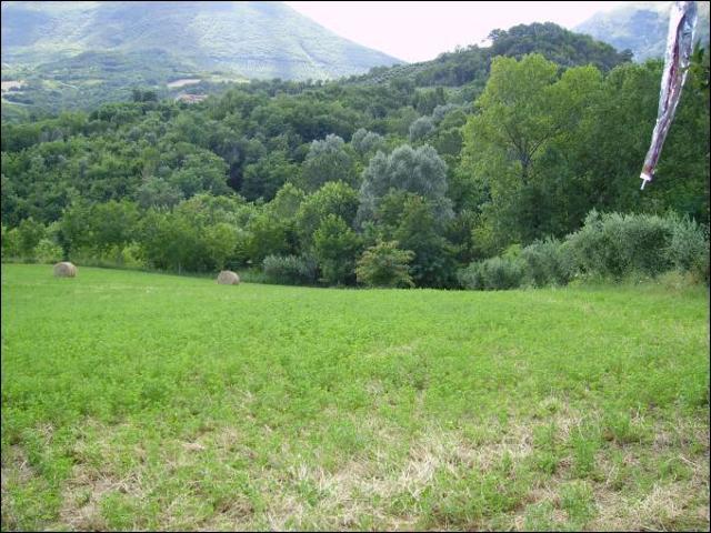 Terreno in vendita a Unione dei Comuni della Val Vibrata, Civitella Del Tronto