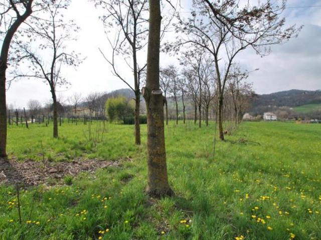 Terreno in vendita a Cornedo Vicentino, Veneto