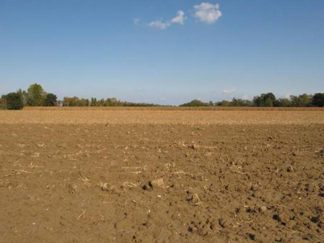 Terreno in vendita a Marche, Ancona