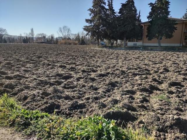 Terreno in vendita a Marche, Ancona