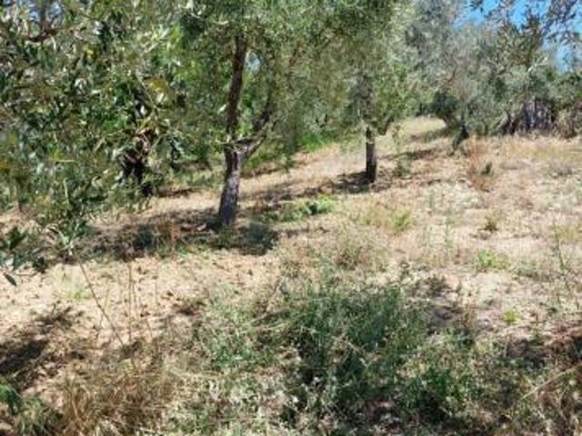 Terreno in vendita a Lanciano, Abruzzo