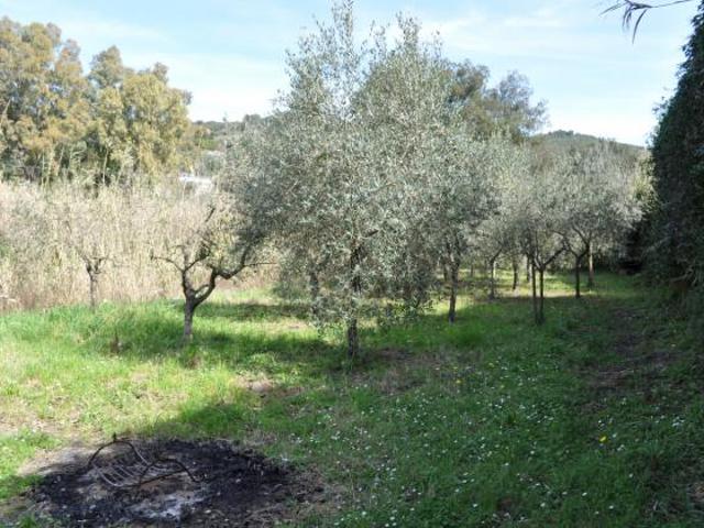 Terreno in vendita a Livorno, Toscana