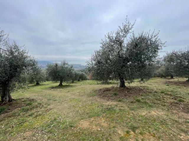Terreno in vendita a Magione, Umbria