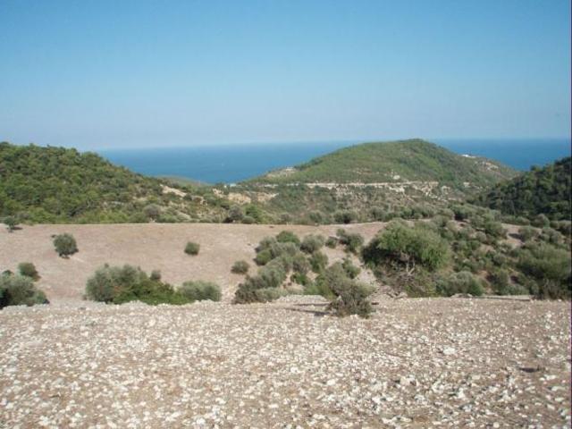 Terreno in vendita a Mattinata, Foggia