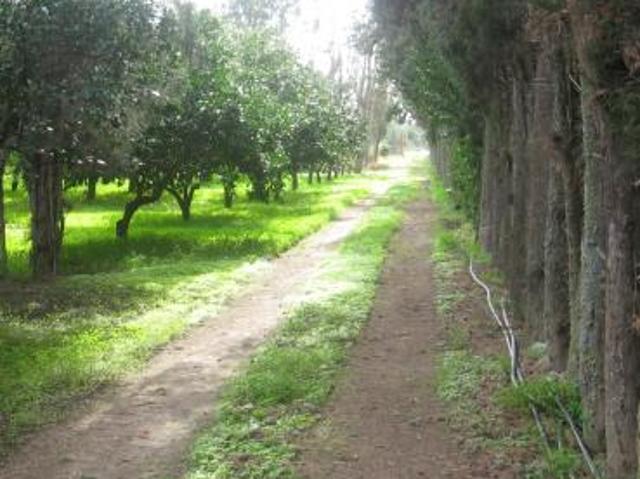 Terreno in vendita a Monastir, Sardigna/Sardegna