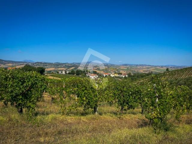 Terreno in vendita a Marche, Ancona
