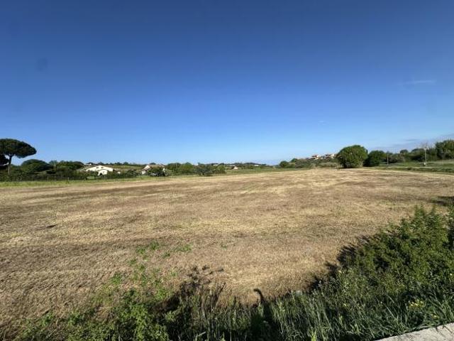 Terreno in vendita a Poggio Gagliardo, Montescudaio