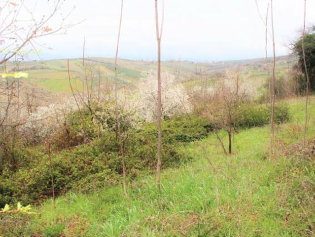 Terreno in vendita a Mozzagrogna, Abruzzo