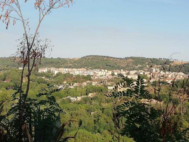 Terreno in vendita a Piazza, Sicilia