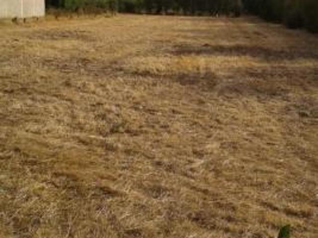 Terreno in vendita a San Sperate, Sardigna/Sardegna
