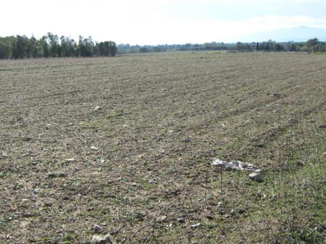 Terreno in vendita a San Sperate, Sardigna/Sardegna