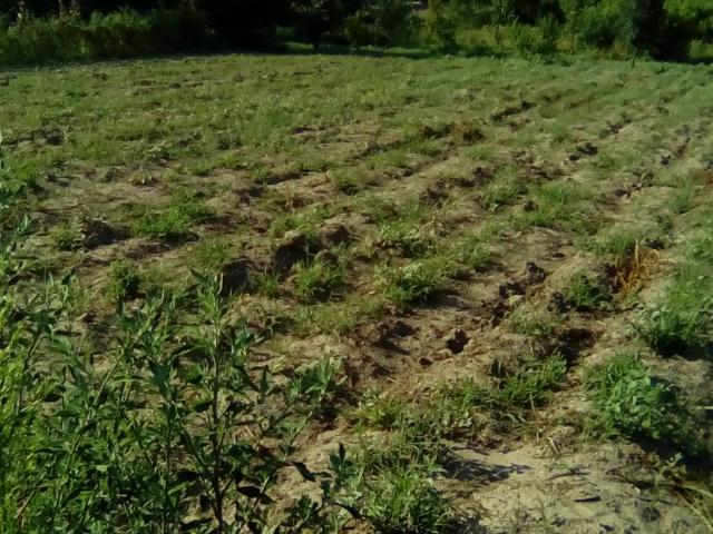 Terreno in vendita a Sant'antimo, Campania