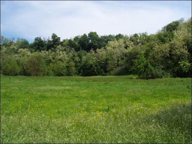 Terreno in vendita a Unione dei Comuni della Val Vibrata, Sant'egidioalla Vibrata