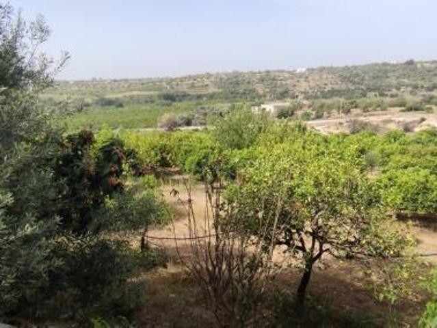 Terreno in vendita a Siracusa, Sicilia
