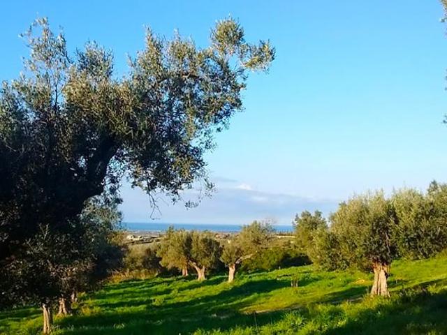 Terreno in vendita a Roma Capitale, Lazio