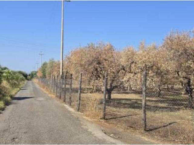 Terreno in vendita a Roma Capitale, Lazio