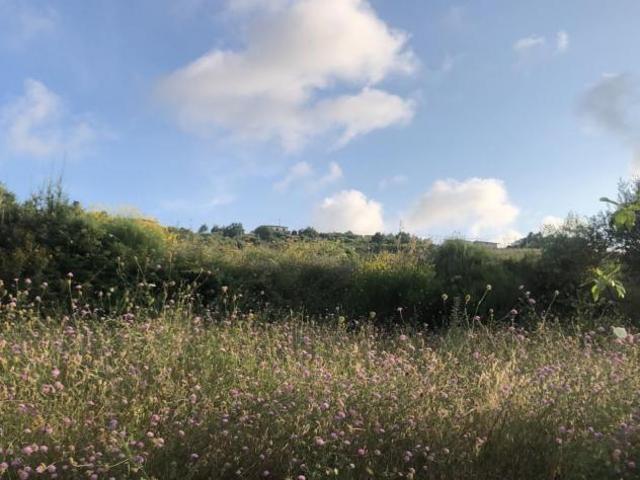 Terreno in vendita a Perdifumo, Campania