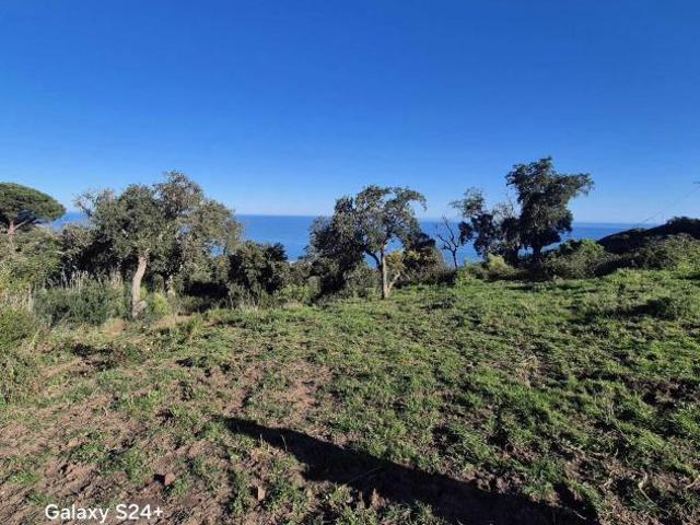 Terreno in vendita a Cefalù, Sicilia