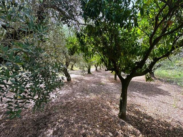 Terreno in vendita a Battipaglia, Salerno