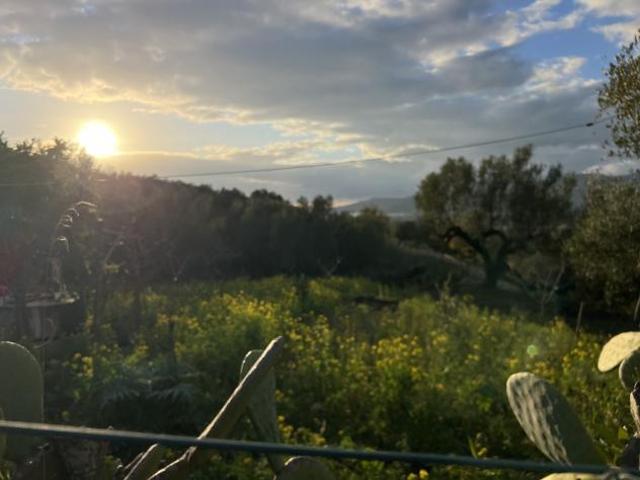 Terreno in vendita a Ascea, Campania
