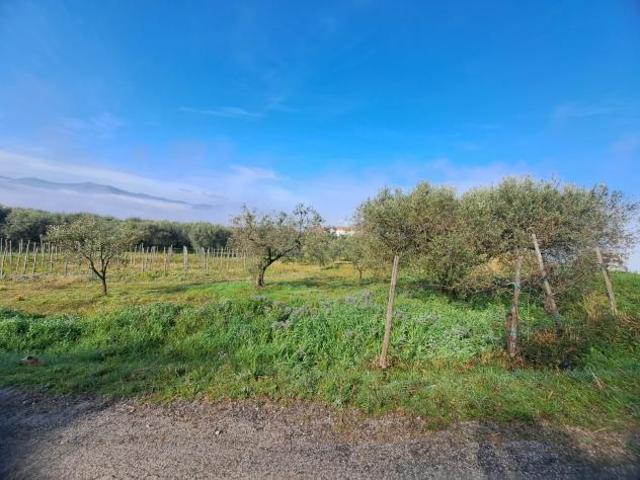Terreno in vendita a Sant'agata De' Goti, Campania