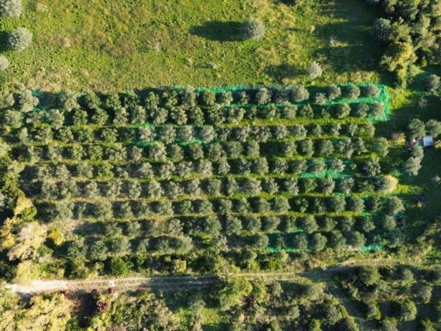 Terreno in vendita a Giungano, Campania