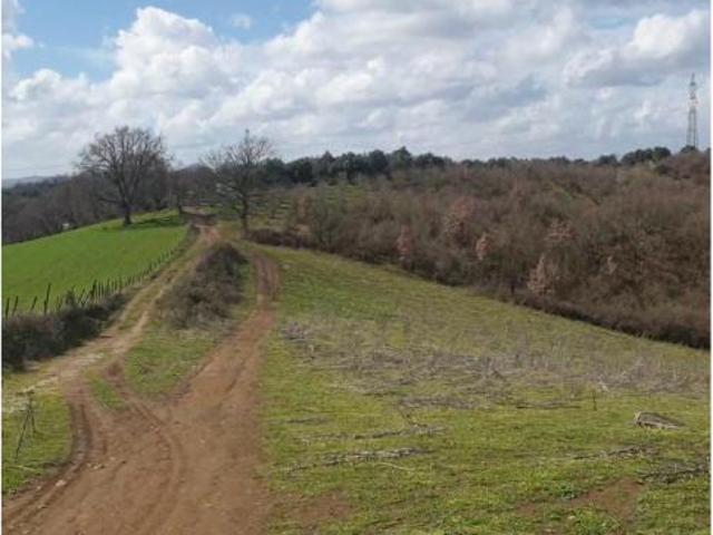 Terreno in vendita a Roma Capitale, Lazio