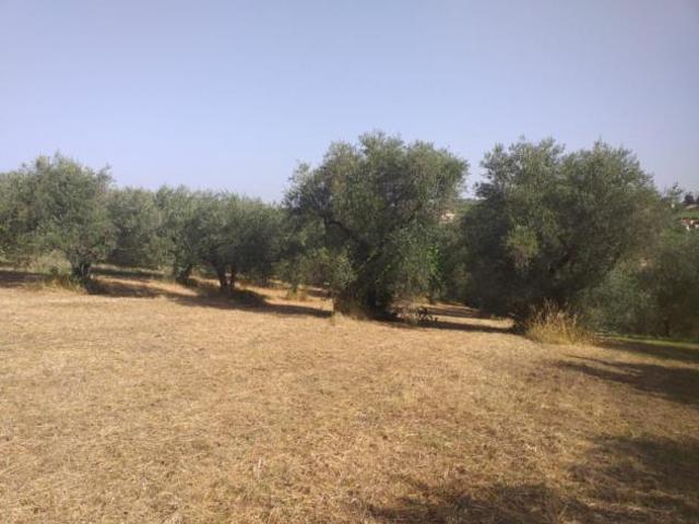 Terreno in vendita a Roma Capitale, Lazio