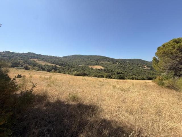 Terreno in vendita a Piegaro, Umbria