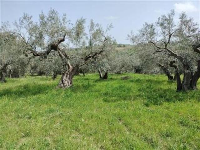 Terreno in vendita a Villa Romagnoli, Mozzagrogna