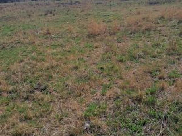 Farm for sale in Nigel, City of Ekurhuleni Metropolitan Municipality