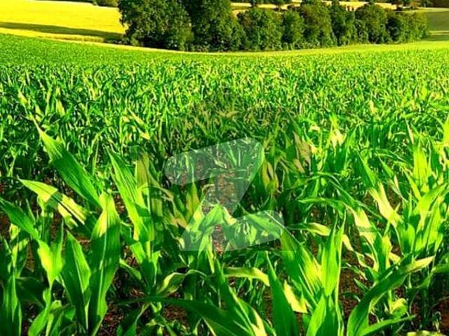 Land for sale in Islamabad