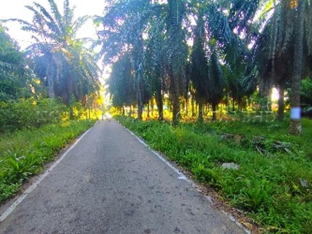 Property for sale in Johore Bahru, Johor