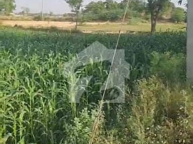 Land for sale in قصور, لاہور ڈویژن